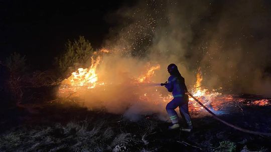 SEROCK. Płonęła trawa i gałęzie. Akcja gaśnicza w Dosinie