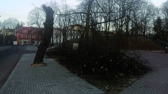 SMĘTNY WIDOK