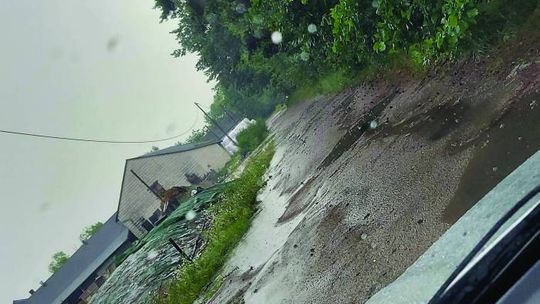 Tak pan burmistrz nam obiecał