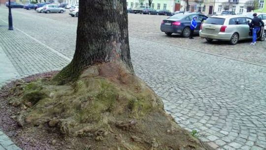 TO NAM SIĘ PODOBA