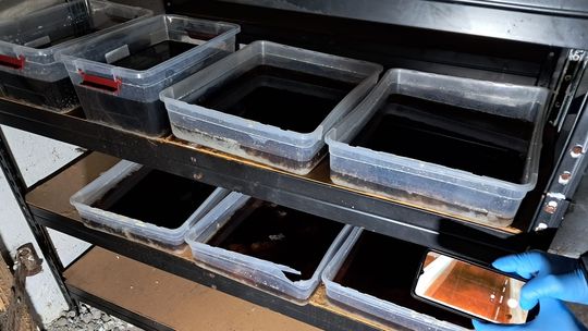 Trzy tony narkotyków przejęte na Mazowszu