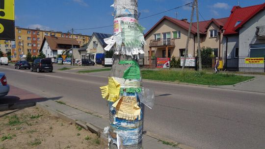 Tylko nie na drzewach!