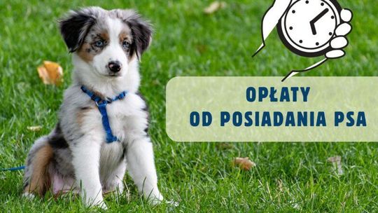 Upływa termin płatności opłaty od posiadania psa