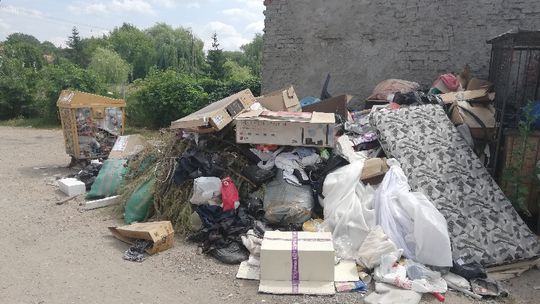 W głowie się nie mieści!