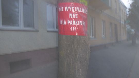 W OBRONIE ALEI LIPOWEJ