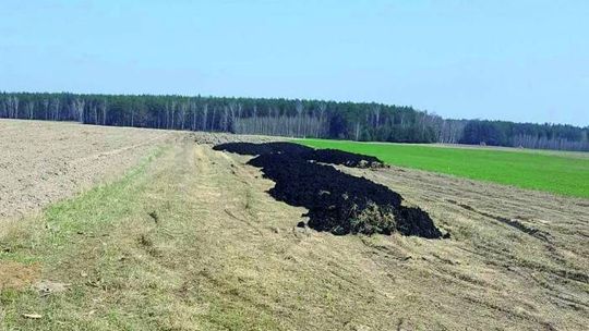 Wciąż trafiają na pola