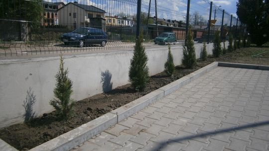 Więcej zieleni