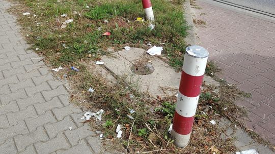 WSTRĘTNE FOTO