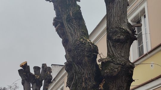 WYKONANE NIEPRAWIDŁOWO