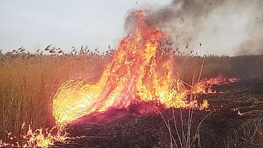 WYPALANIE TRAW JEST NIEBEZPIECZNE I NIEDOZWOLONE!