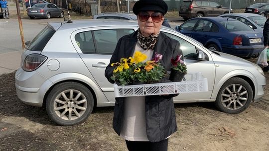 ZADZIWIŁA SIĘ MARCHEWKA.