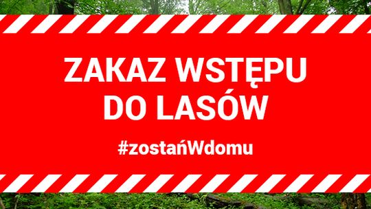 ZAKAZ WSTĘPU DO LASU DO 11 KWIETNIA 2020 r.