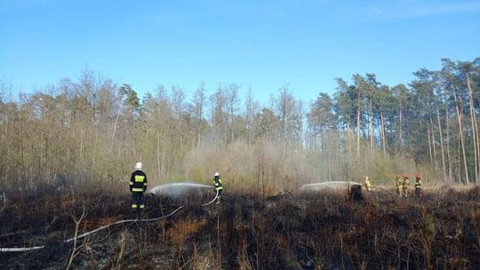 ZAKAZ WSTĘPU DO LASU ZE WZGLĘDU NA ZAGROŻENIE POŻAROWE