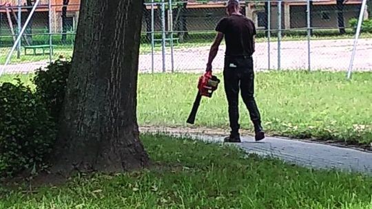 Zakaz zakazem – a sprzątamy jak nam pasuje