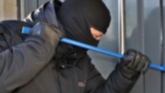 Złodzieje znowu w akcji!