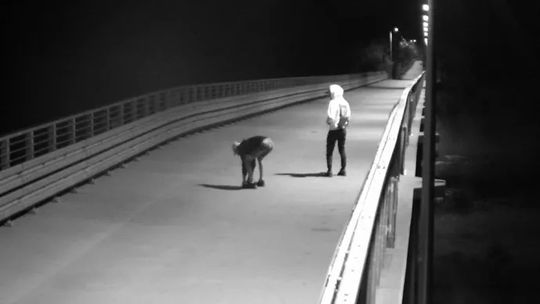 "Znakomici obrońcy chuliganów" czyli brednie prosto z Ratusza