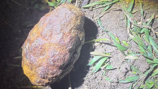 Znalazł granat na polu