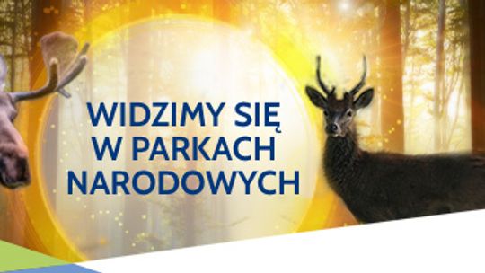 Zobacz jesienną odsłonę Parków Narodowych współpracujących z PGE
