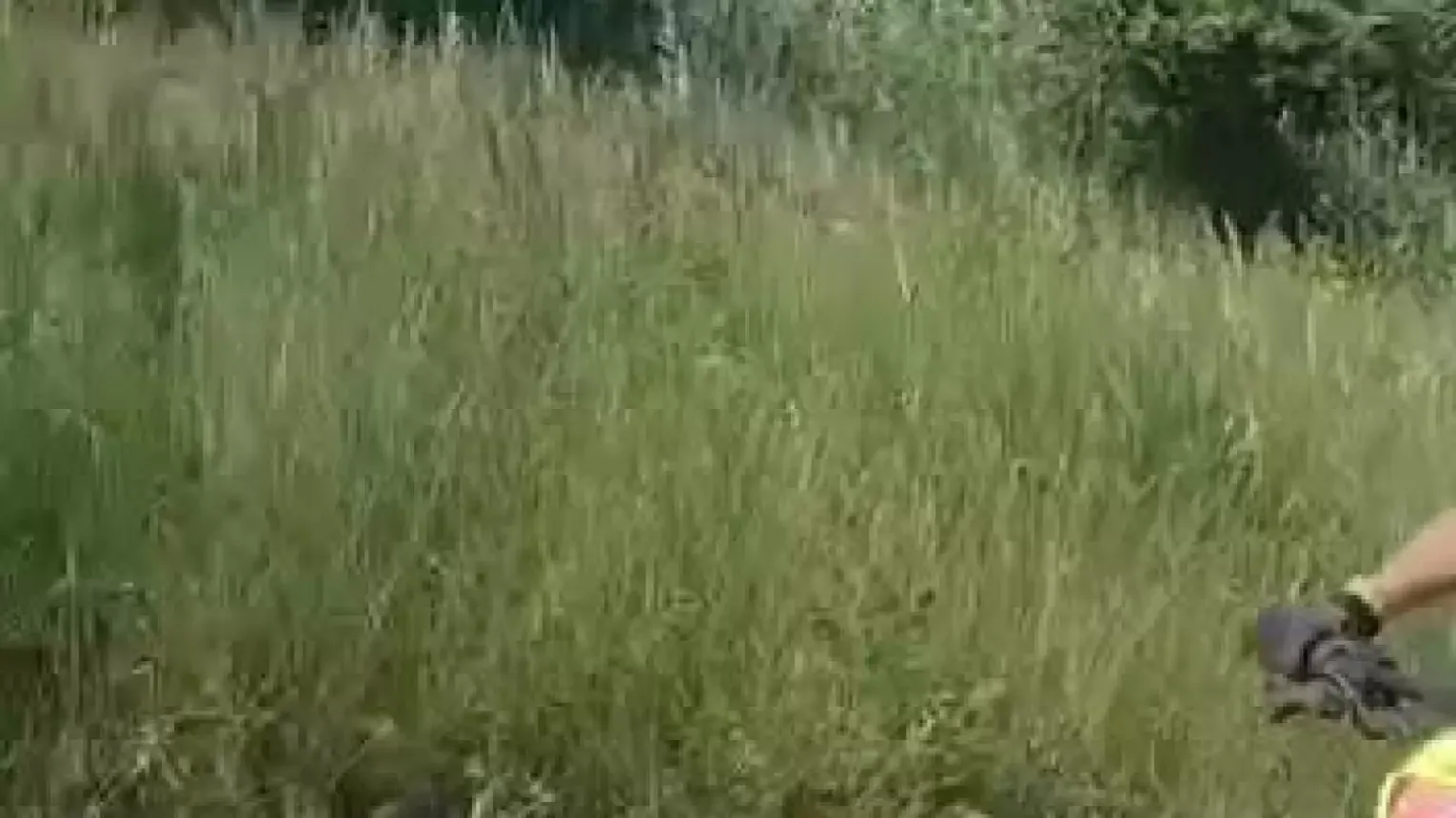 Daniel dał radę!