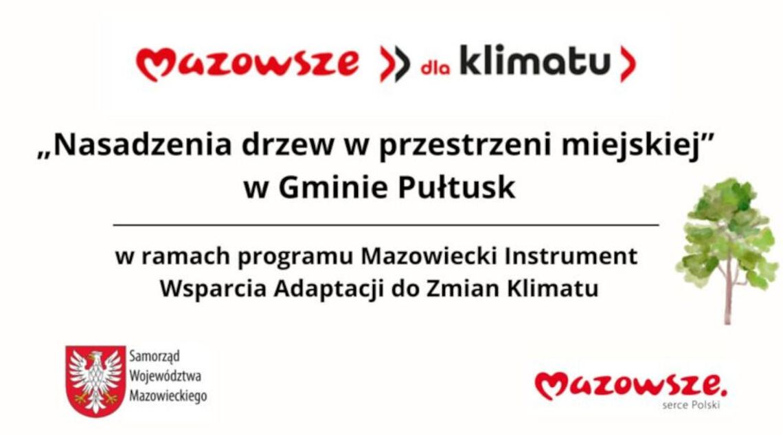 110 tysięcy złotych na nowe nasadzenia drzew w Pułtusku