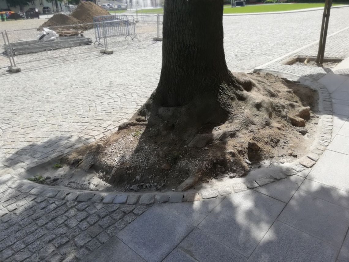 A  jednak się dało!