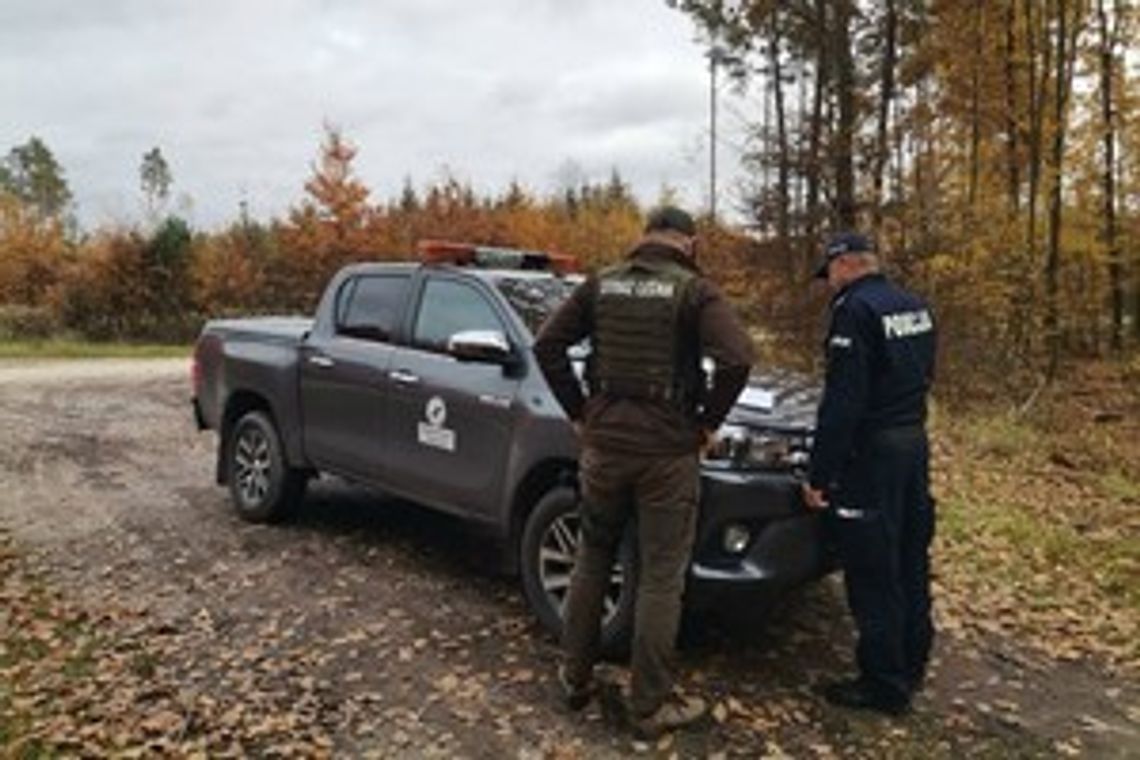 Akcja „STROISZ”. Walka z nielegalnym pozyskiwaniem gałęzi drzew iglastych