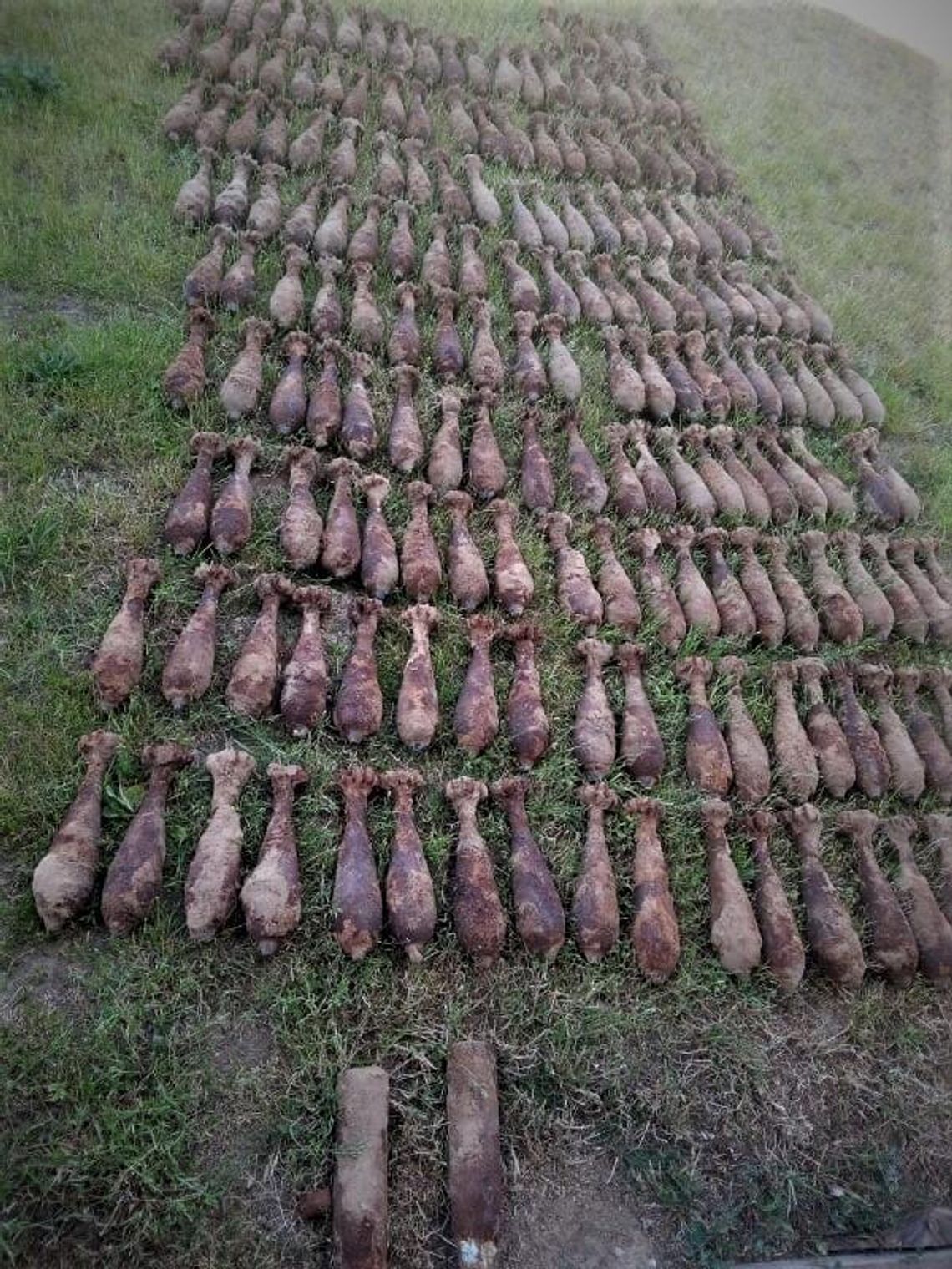 Arsenał w przydomowym ogródku