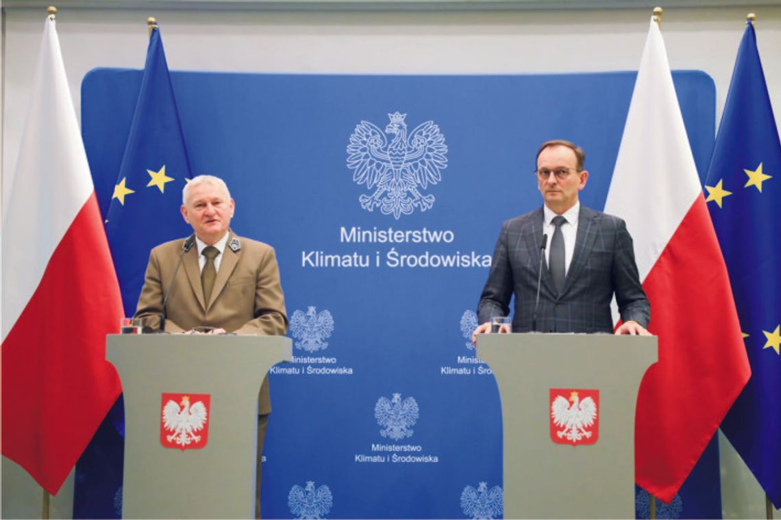 Będą nowe lasy – kupujemy tereny pod zalesianie