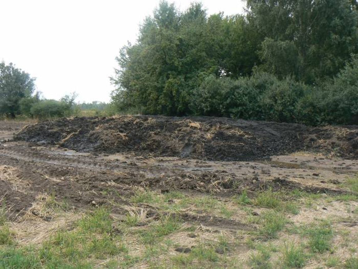 Będą wydobywać w Pogorzelcu