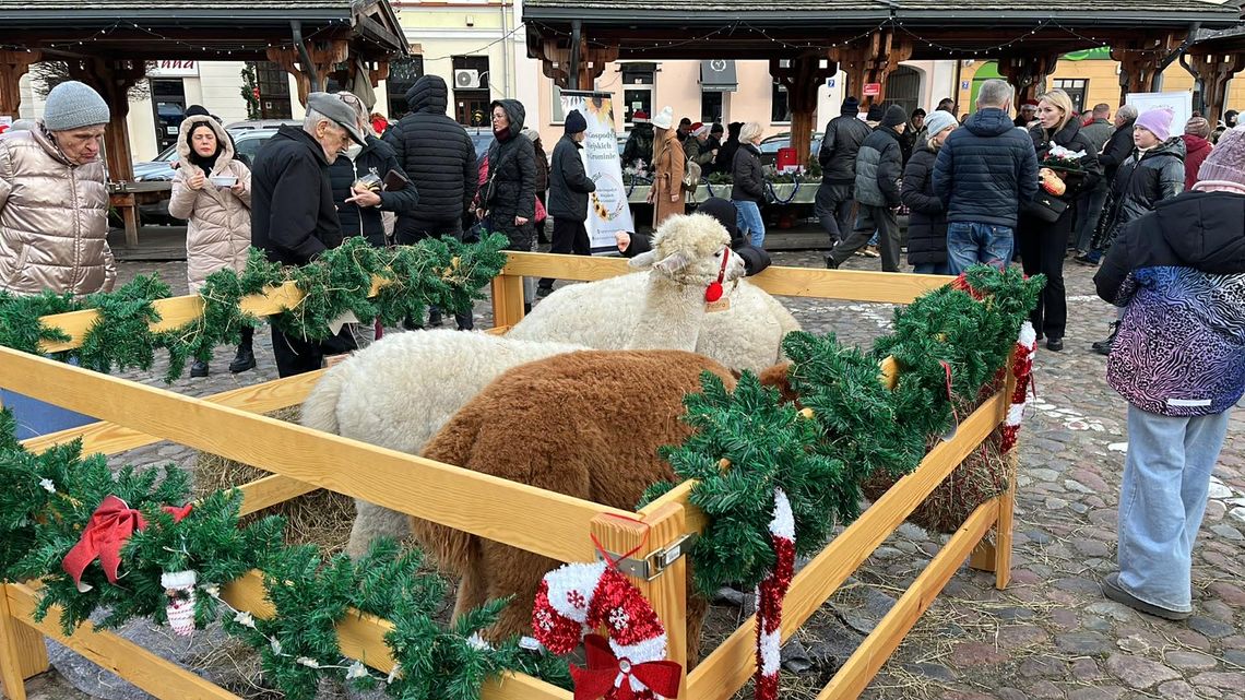Bożonarodzeniowy jarmark i inne atrakcje na pułtuskim rynku Bożonarodzeniowy jarmark i inne atrakcje na pułtuskim rynku