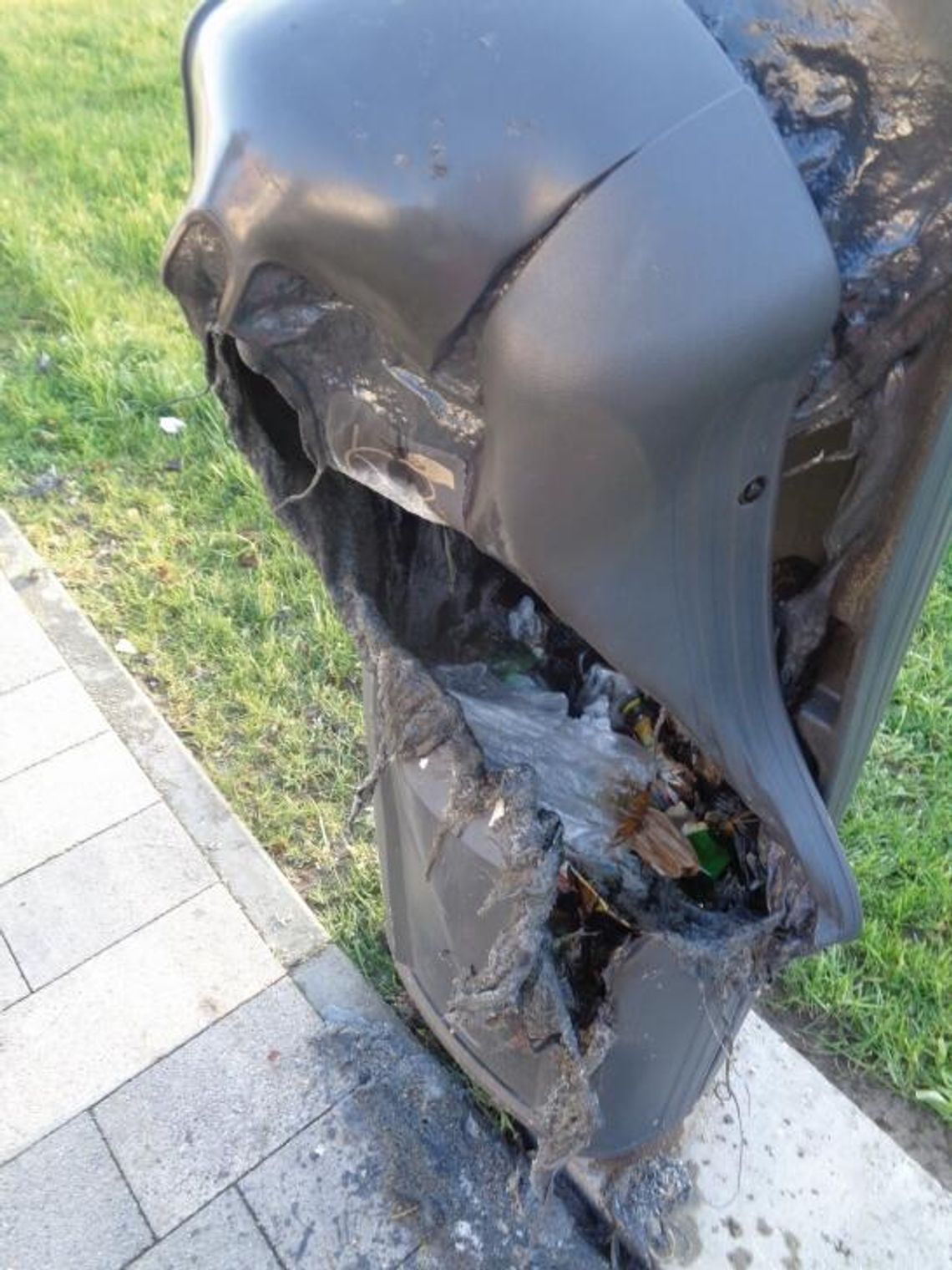 BYSTRYM OKIEM. Na psie odchody