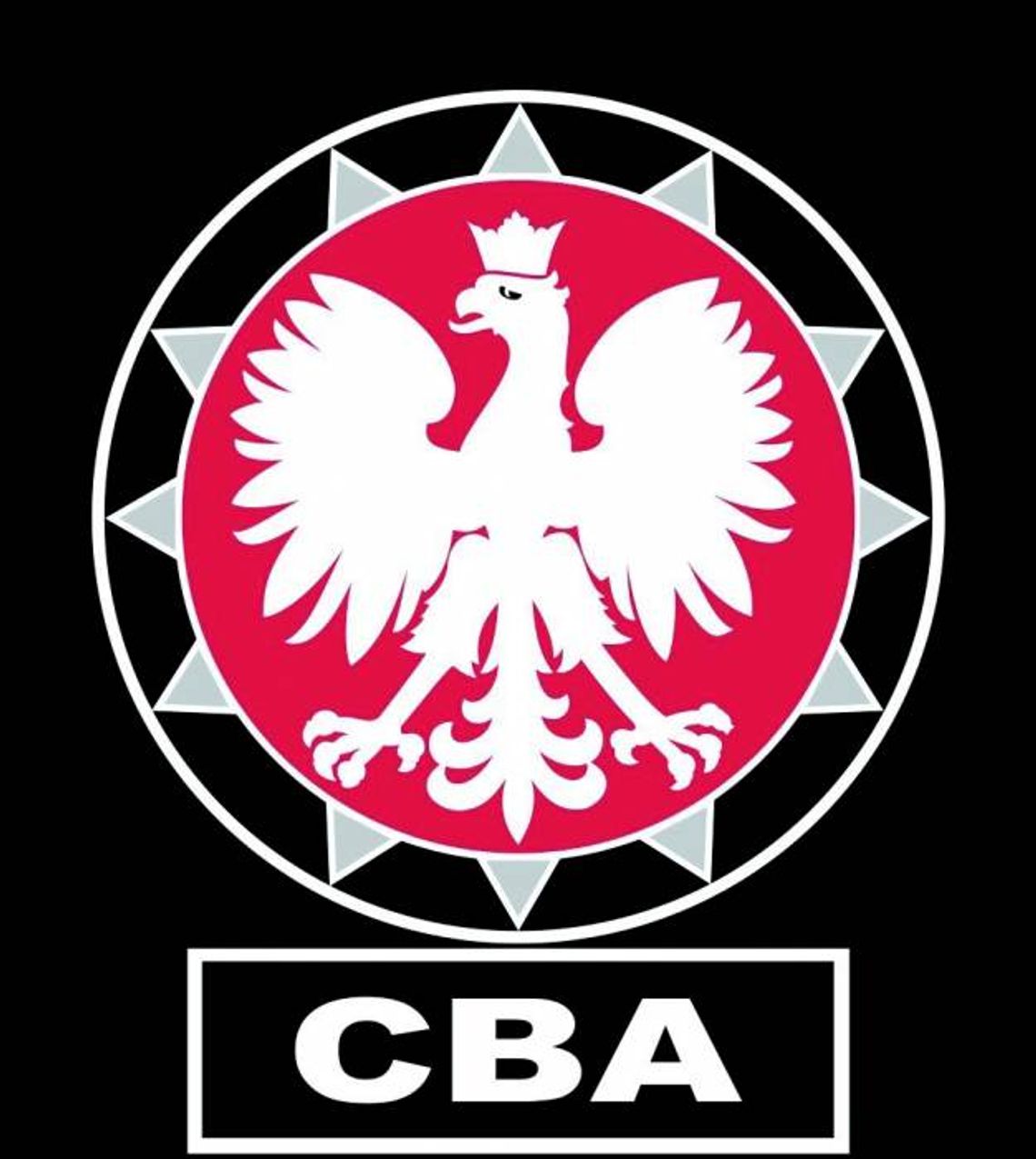 CBA kontroluje i co dalej???