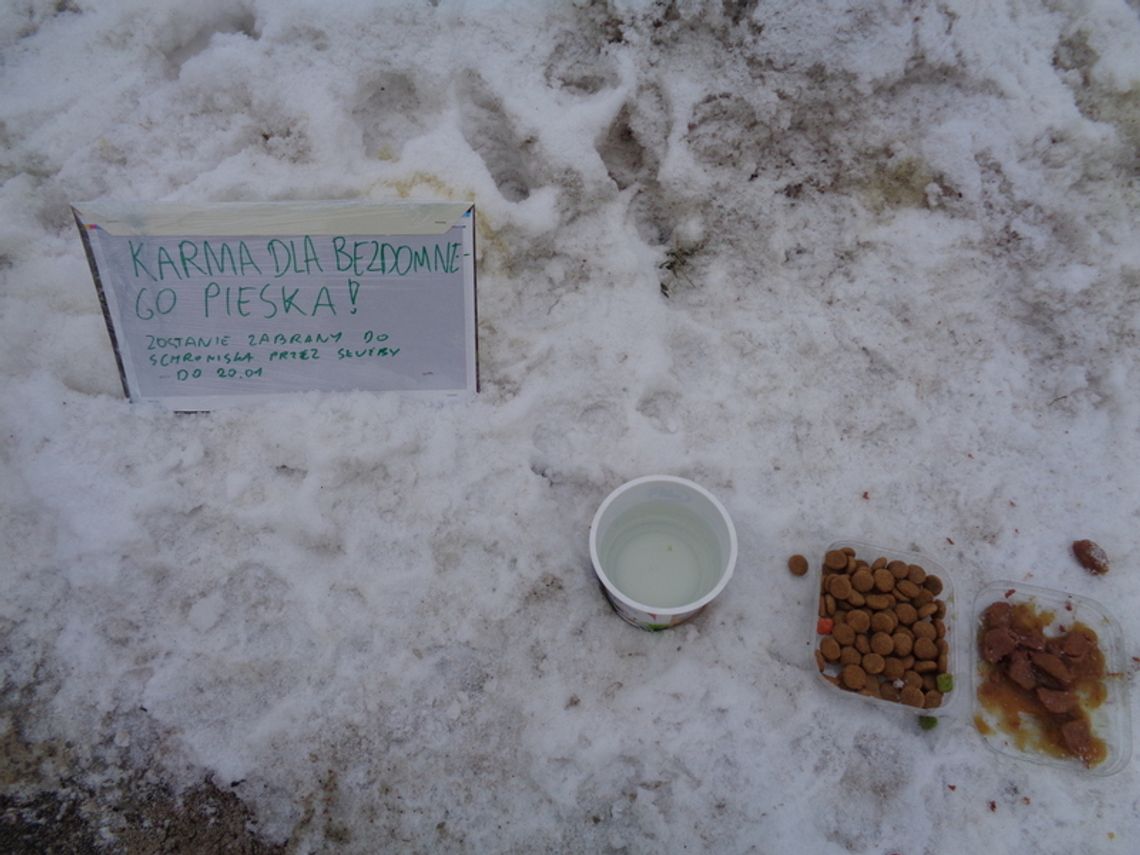 Czekamy na kontakt