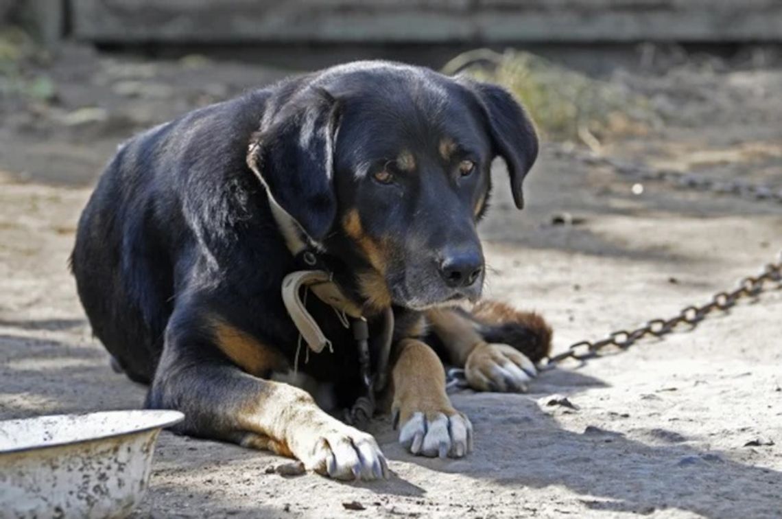Czy Sobolewo nas czegoś nauczyło?