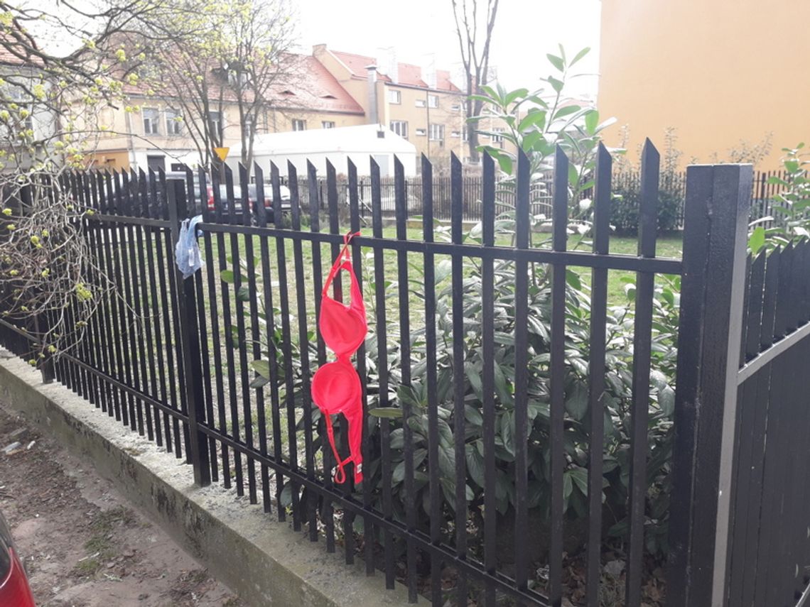 Czyja zguba?