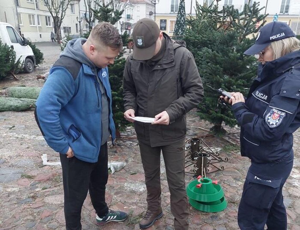 Dbają o legalność choinek