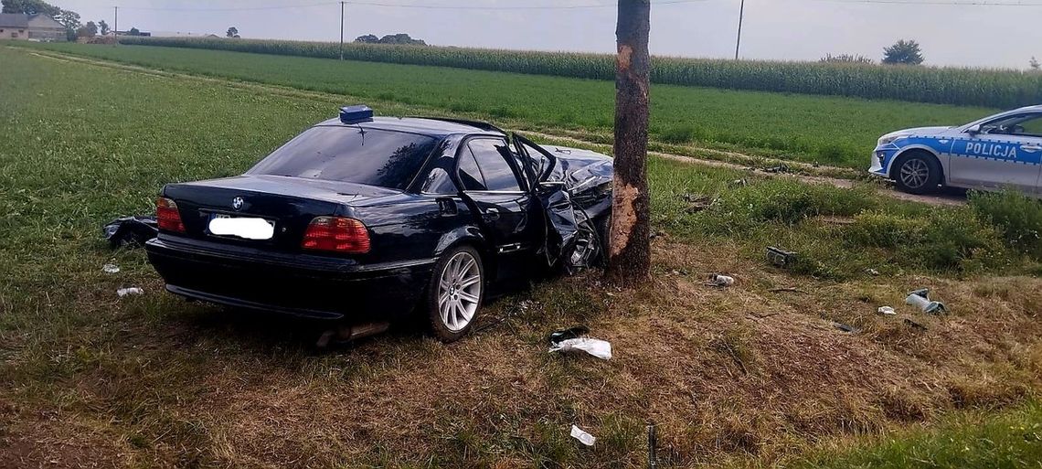 Drogowa tragedia pod Ciechanowem