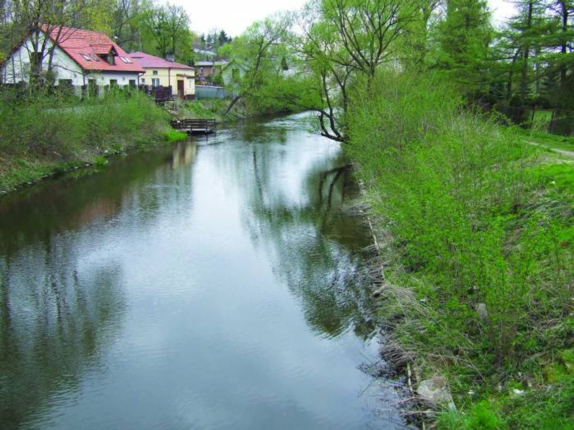 ECO PUŁTUSK przygotowuje kanały