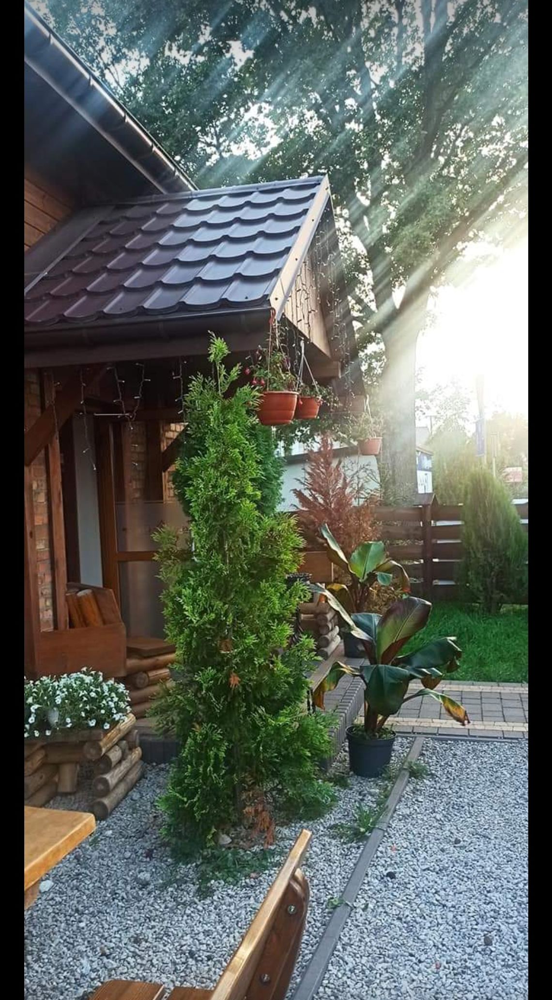Firma z pasją