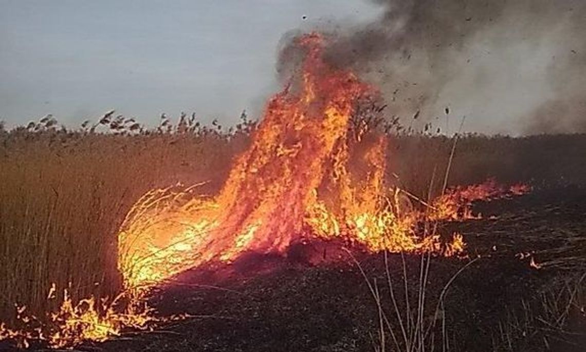 Grzywna a nawet więzienie