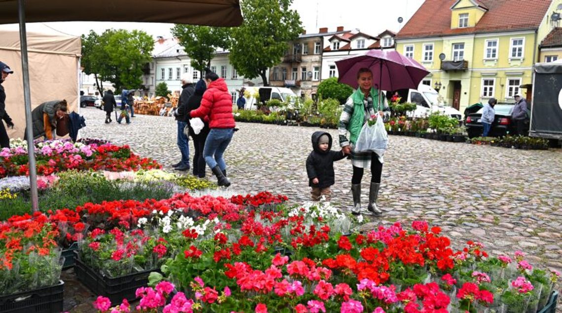 I Pułtuski Festiwal Roślin Ogrodowych za nami