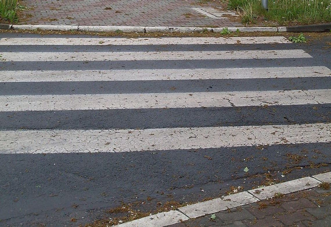 IGRANIE Z LOSEM