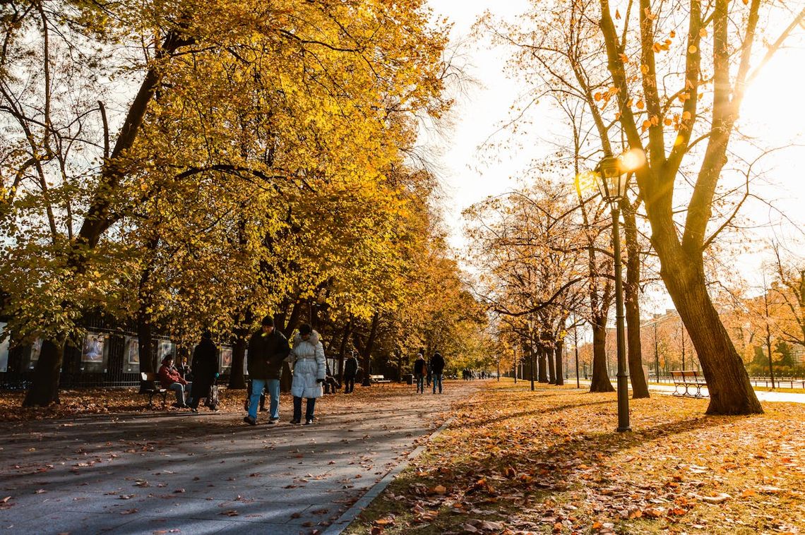 Jesień pod Warszawą. Odkryj malownicze barwy jesieni w Hotelu 500 Zegrze
