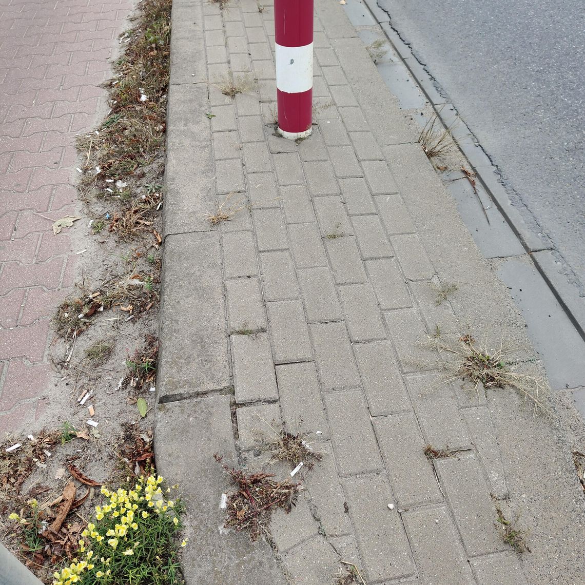 JEST I ŁADNIE, ALE JEST I BRZYDKO JEST I ŁADNIE, ALE JEST I BRZYDKO