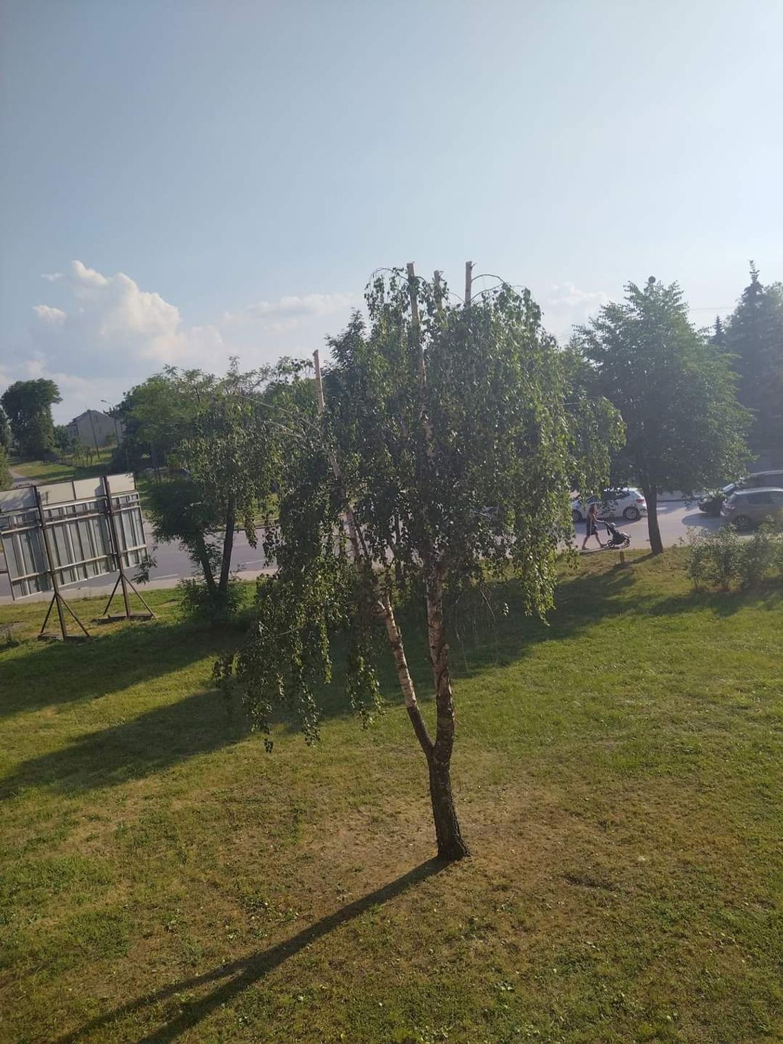 Jest wykonawca Traugutta