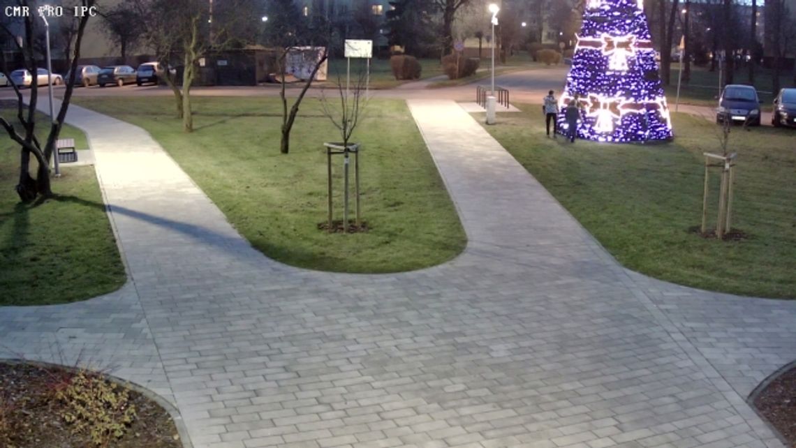 Komu przeszkadza choinka?