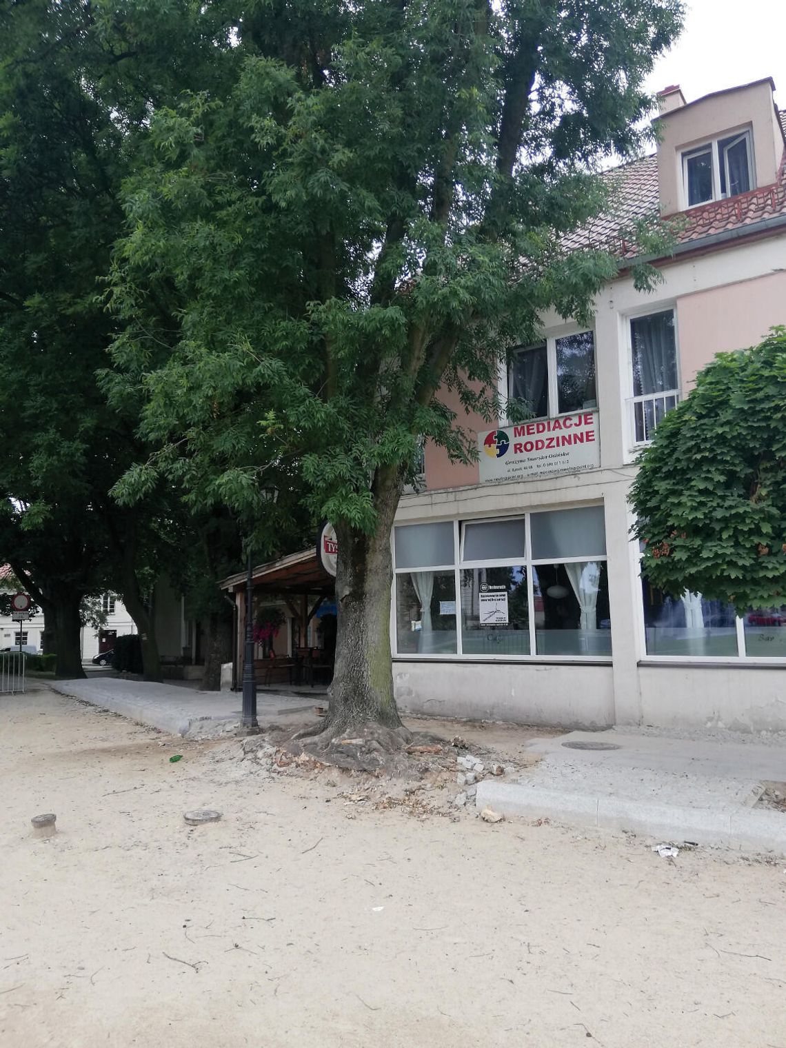 Konserwator się uparł - o drzewach i nowej ulicy