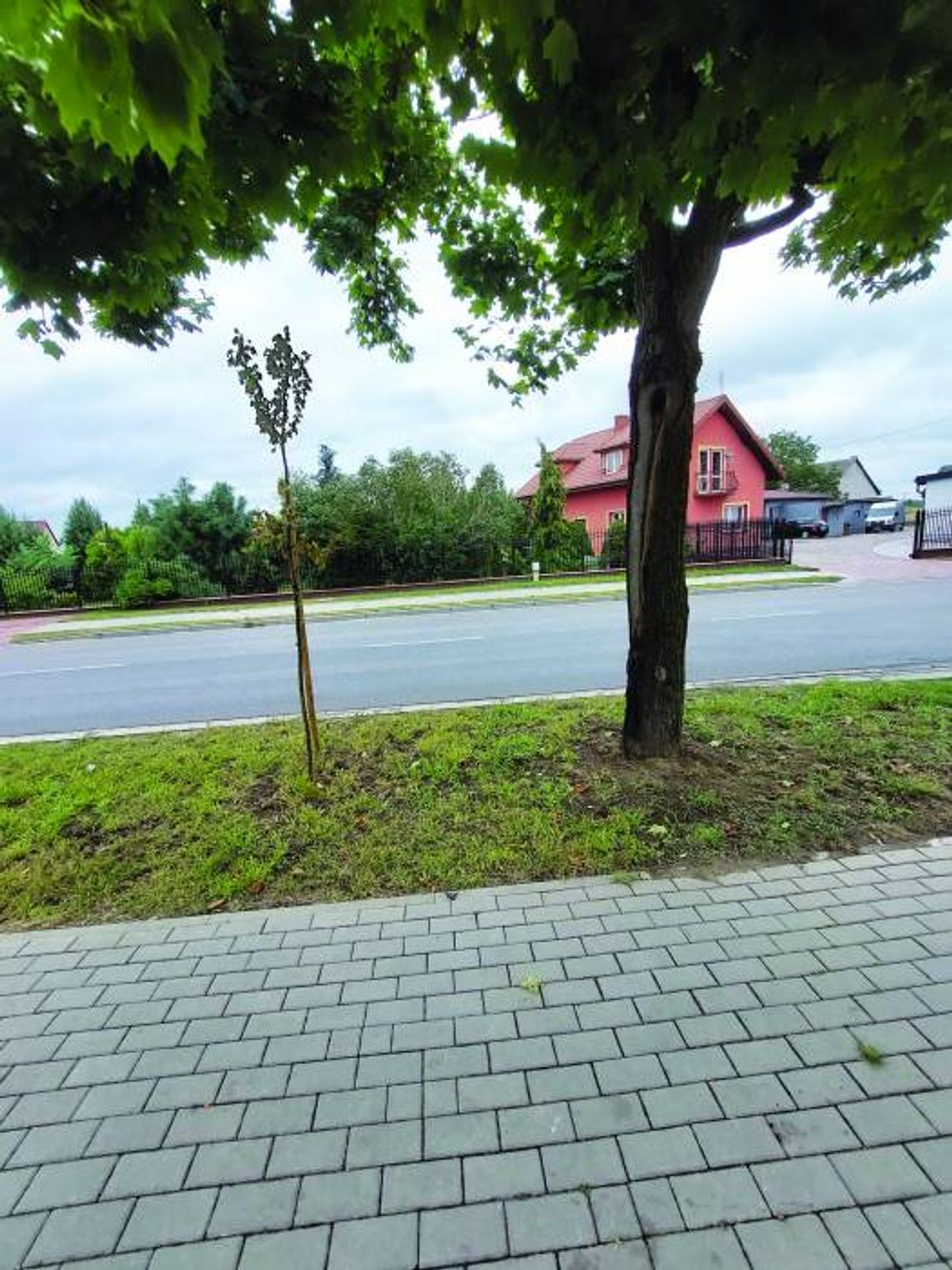 Ktoś musiał długo nad tym myśleć