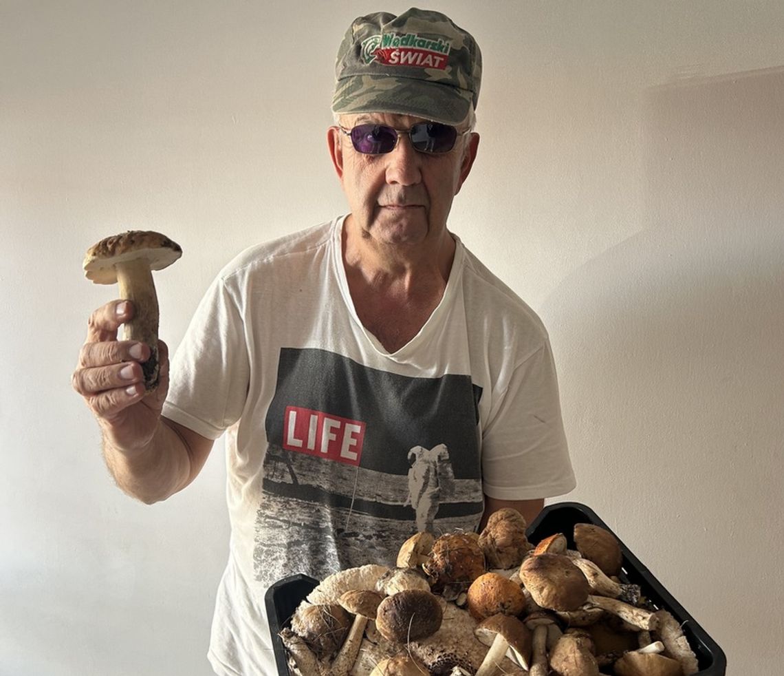Mamy wysyp borowików
