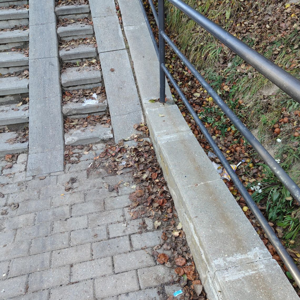 Miasto się rewitalizuje, ale brud króluje... Miasto się rewitalizuje, ale brud króluje...